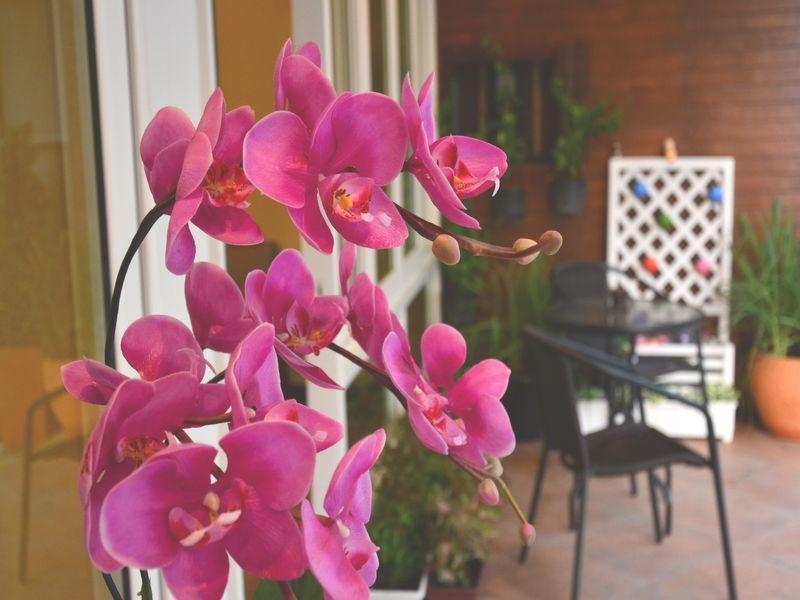 Seedling House Pattaya Exterior photo