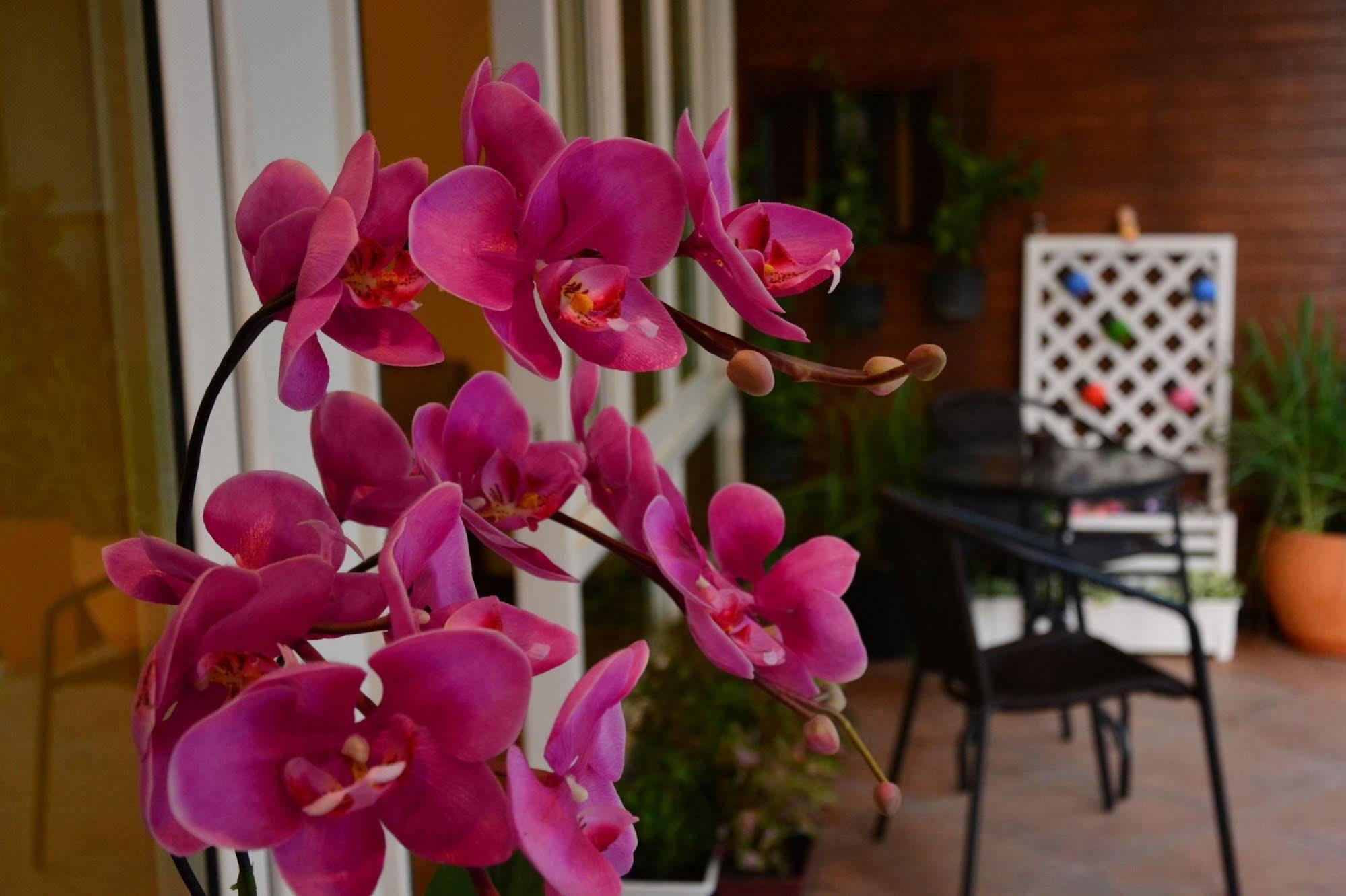 Seedling House Pattaya Exterior photo